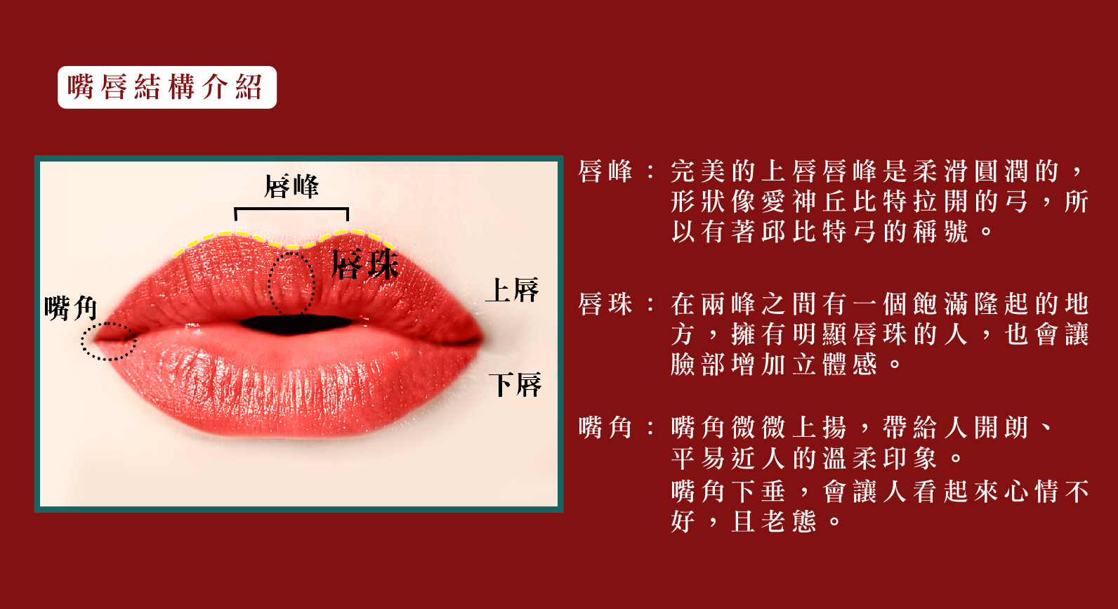 上唇を自然に薄くするM字リップ形成術｜症例写真・ビフォーアフター｜美容整形･美容外科のTAクリニックグループ