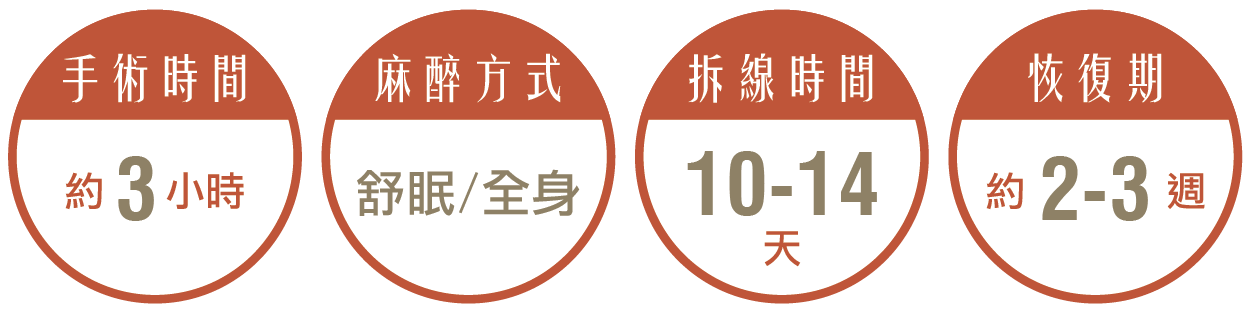 內視鏡提眉/前額拉皮,手術時間約3小時。麻醉方式：舒眠/全身。拆線時間：10-14天。恢復期約2-3週