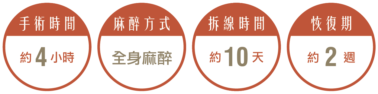 豐臀手術，手術時間約4小時，麻醉方式採全身麻醉，拆線時間約10天，恢復期約2週。