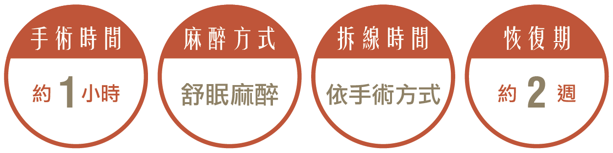 大小陰唇整形，手術時間約1小時，麻醉方式採舒眠麻醉，拆線時間依照手術方式而定，恢復期約2週。
