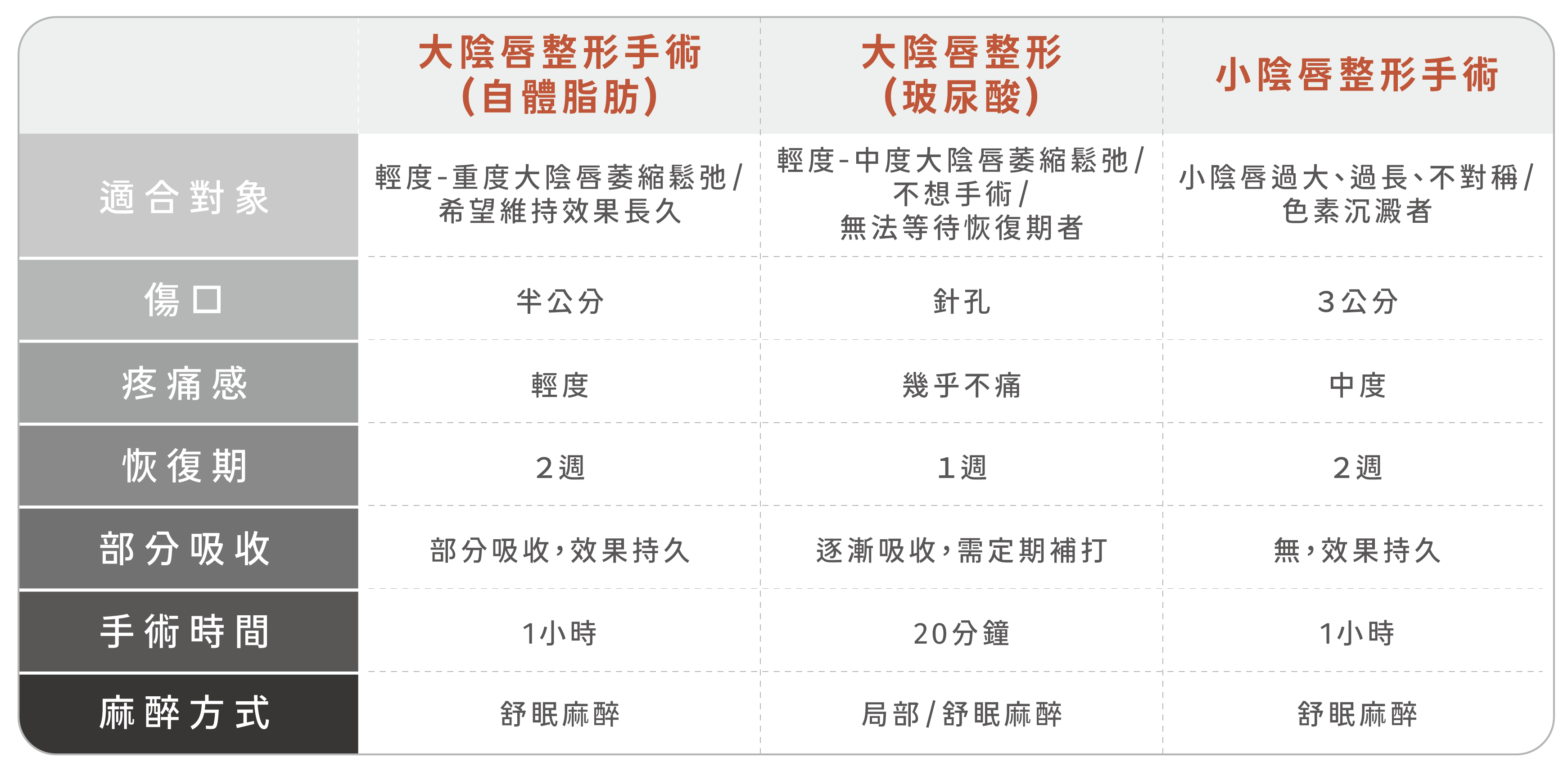 大陰唇整形(玻尿酸)，適合輕度-中度大陰脣萎縮鬆弛/不想手術/無法等待恢復期者，傷口約為針孔大小，幾乎不會有疼痛感，恢復期約為1週，會逐漸吸收，需要定期補打，過程約為20分鐘，麻醉方式採局部/舒眠麻醉